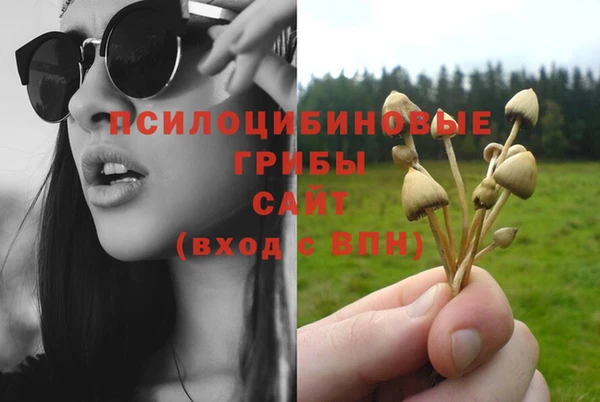 амф Верея