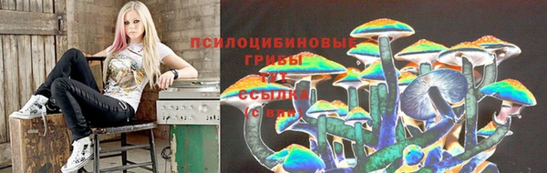 герыч Бородино