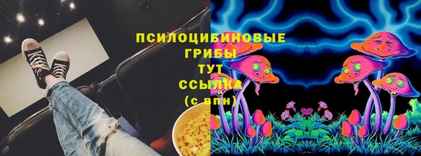 герыч Бородино