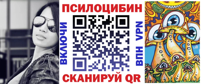 дарк нет формула  Верхотурье  Галлюциногенные грибы Psilocybe 